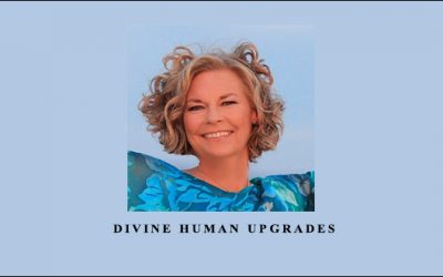 Divine Human Upgrades