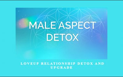 LoveUp Relationship Detox and Upgrade