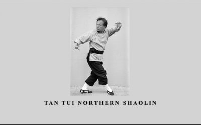 Tan Tui Northern Shaolin