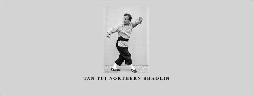 Adam Hsu – Tan Tui Northern Shaolin taking at Whatstudy.com
