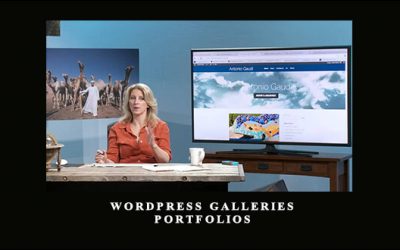 WordPress Galleries & Portfolios