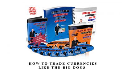 How to Trade Currencies Like the Big Dogs