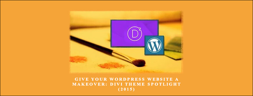 Give Your WordPress Website a Makeover: Divi Theme Spotlight (2015) taking at Whatstudy.com