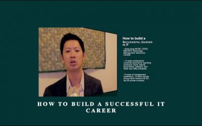 How to build a successful IT career