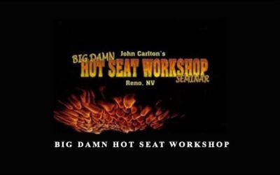 Big Damn Hot Seat Workshop
