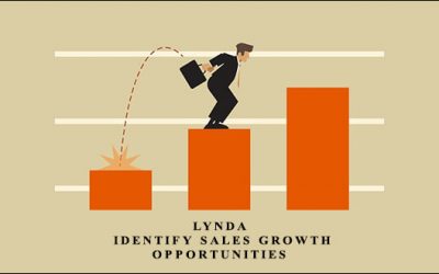 Identify Sales Growth Opportunities
