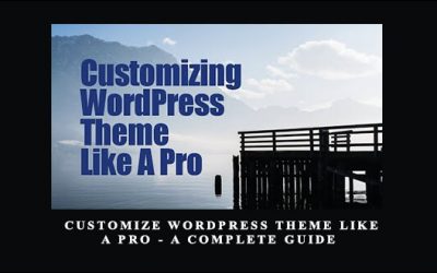 Customize WordPress Theme Like A Pro A Complete Guide