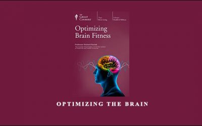 Optimizing The Brain
