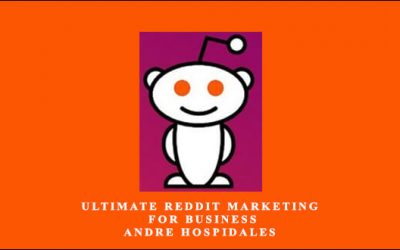 Ultimate Reddit Marketing For Business