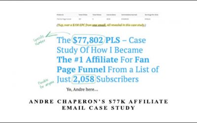 $77K Affiliate Email Case Study
