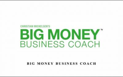 Big Money Business Coach