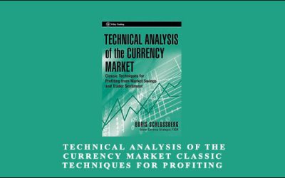 Technical Analysis of the Currency Market Classic Techniques for Profiting from Market Swings and Trader Sentiment