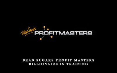 Profit Masters Billionaire in Training
