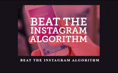 Beat the Instagram Algorithm