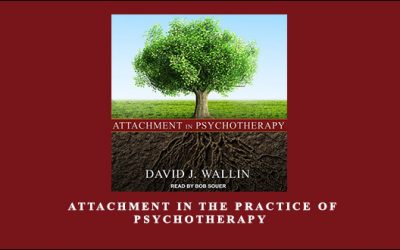 Attachment in The Practice of Psychotherapy