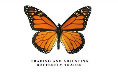 Trading and Adjusting Butterfly Trades
