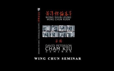Wing Chun Seminar