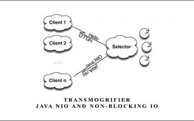 Transmogrifier: Java NIO and Non-Blocking IO