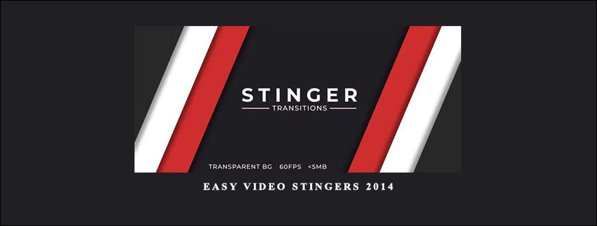 Easy Video Stingers 2014