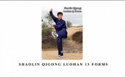 Shaolin Qigong Luohan 13 Forms