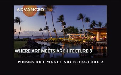 Where Art Meets Architecture 3