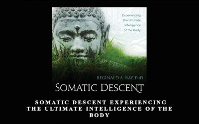 Somatic Descent Experiencing the Ultimate Intelligence of the Body