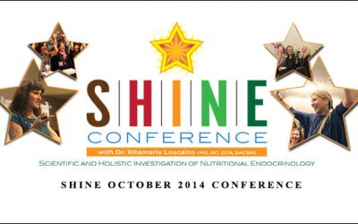 SHINE October 2014 Conference