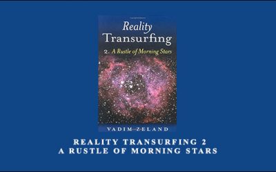 Reality Transurfing 2 A Rustle of Morning Stars