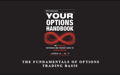 The Fundamentals of Options Trading Basis