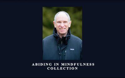 ABIDING IN MINDFULNESS COLLECTION