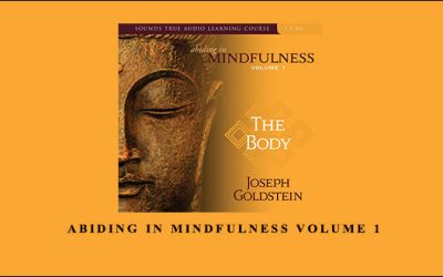ABIDING IN MINDFULNESS VOLUME 1