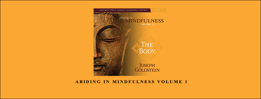 Joseph Goldstein – ABIDING IN MINDFULNESS VOLUME 1