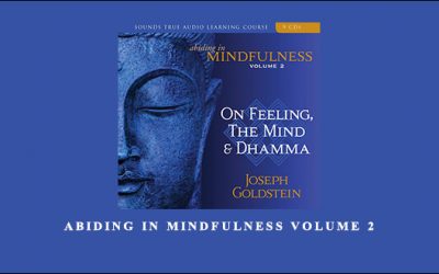 ABIDING IN MINDFULNESS VOLUME 2