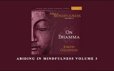 ABIDING IN MINDFULNESS VOLUME 3