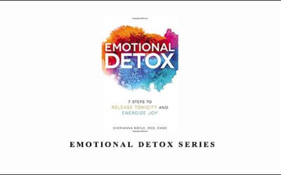 Lynn Waldrop – Emotional Detox Series