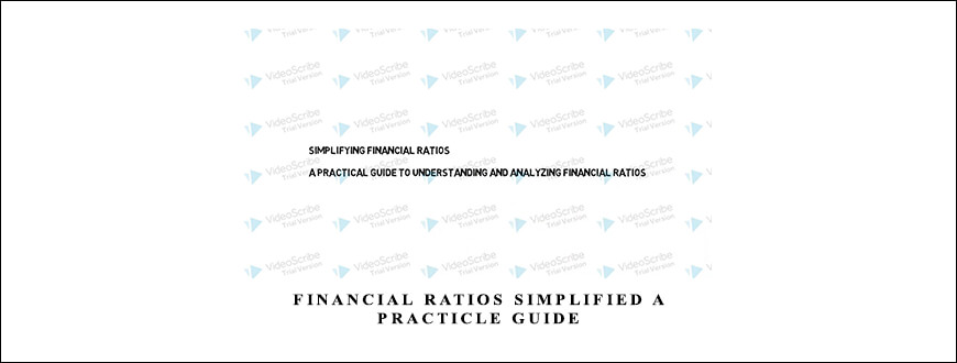 Financial Ratios Simplified A Practicle Guide