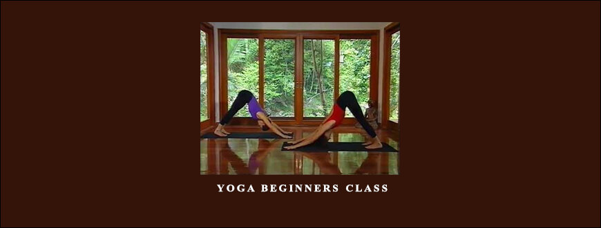 Louisa Sear and Rachel Zinman – Yoga Beginners Class