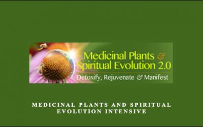 Medicinal Plants and Spiritual Evolution Intensive with David Crow
