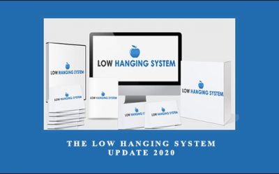Rachel Rofe – The Low Hanging System – Update 2020