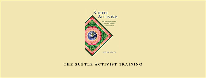 The Subtle Activist Training with David Nicol