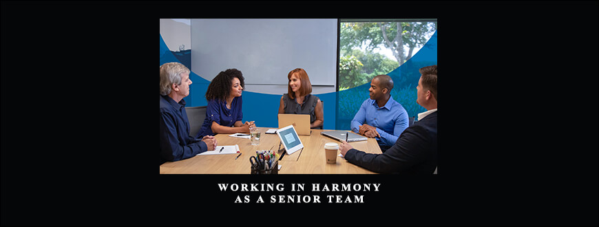 Working in Harmony as a Senior Team