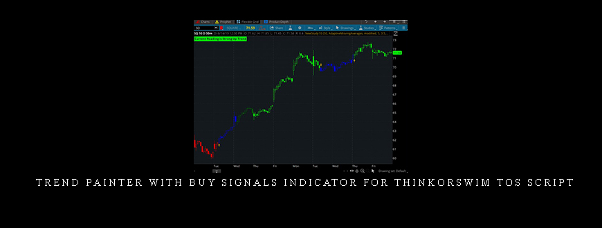 Trend Painter With Buy Signals Indicator for ThinkorSwim TOS Script