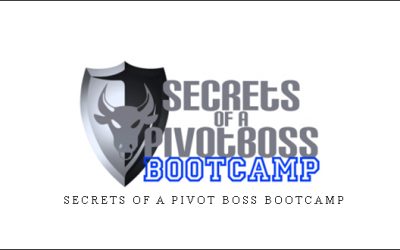 Pivotboss – Secrets of a Pivot Boss Bootcamp