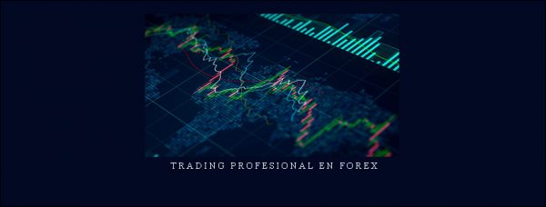 Dinka – Trading Profesional en Forex