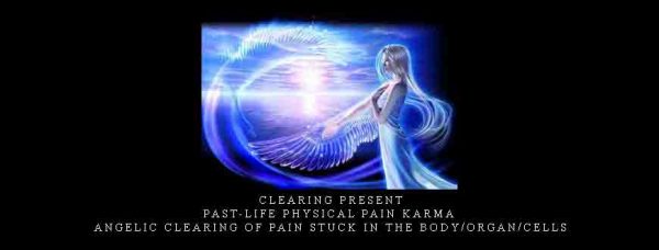 Michael David Golzmane – Clearing Present & Past-Life Physical Pain Karma & Angelic Clearing of Pain Stuck in the Body Organ Cells