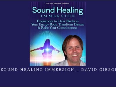 Sound Healing Immersion – David Gibson