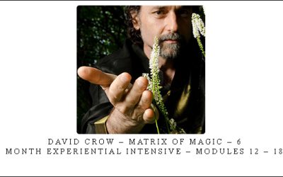 David Crow – Matrix of Magic – 6 – Month Experiential Intensive – Modules 12 – 18