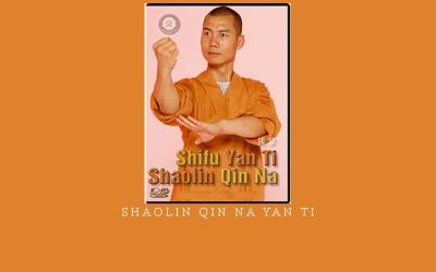 SHAOLIN QIN NA YAN TI – Digital Download